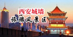 大鸡鸡操逼中国陕西-西安城墙旅游风景区