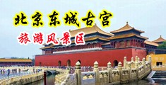 深夜骚逼操中国北京-东城古宫旅游风景区